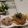 まぁちん２７'s cooksnap of when they made もやしのナムル.