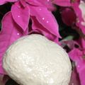 Ami32's cooksnap of when they made アイスモカ.