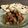 sunita's cooksnap of when they made ホームベーカリーでナン.