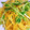 noufumama's cooksnap of when they made 豆苗とじゃがいものエスニック炒め.