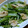 ナーちゃん's cooksnap of when they made ささみと小松菜のあっさり生姜炒め♪.