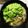 ☆ちょこもこ☆'s cooksnap of when they made 簡単塩ちゃんこ鍋.