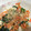 クック8HC8EM☆'s cooksnap of when they made 秋の白和え～柿入り～.