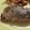 クックPCKCO5☆'s cooksnap of when they made ☆豚肉のガリバタ　ソテー☆.