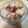 Roadster星子's cooksnap of when they made 食パンラスク.