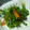 なおころピッコロ's cooksnap of when they made みず菜と油揚げのサラダ.