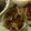 摩訶たいしょう's cooksnap of when they made 簡単♡美味しい♡炊飯器deひじき煮♪.