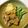 ミニぱたん's cooksnap of when they made 根菜煮物の袋煮（リメイク料理）.