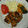 とんとんみーちゃ☆'s cooksnap of when they made 節約♪小間切豚肉の竜田揚げ.