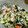 mama57's cooksnap of when they made 白和え衣.