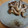 mikiha5's cooksnap of when they made 秋の味覚☆きのこ焼くだけ〜♪.