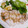mokecocco's cooksnap of when they made ＊しっとり＊茹で鶏～蒸し鶏＊.