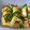 Lemon0790's cooksnap of when they made 今夜のおかずは♪厚揚げとピーマンの炒め物.