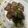クック37V6W1☆'s cooksnap of when they made No3167レバーと茄子の花椒塩.