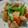 まさヒロ's cooksnap of when they made ☆我が家の☆シンプル炒り鶏（筑前煮）.