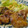 felicekmk's cooksnap of when they made 定番☆分量簡単☆我が家の鶏の照り焼き.