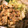 u_mi_n's cooksnap of when they made 我が家のすき焼き（割り下関東風）.