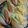 クックCA0M2Y☆'s cooksnap of when they made ちぎりパンサンド.