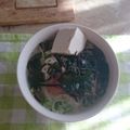 hiro_ryo's cooksnap of when they made 塩ラーメン風☆そうめん.
