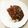 RoomA's cooksnap of when they made 簡単和風カレー.