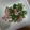 堕天使M's cooksnap of when they made ピーマンのベーコン炒め.
