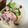 risalunch's cooksnap of when they made 糖質制限★豆乳スープ.