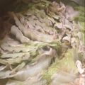 まいのるぽ's cooksnap of when they made 簡単白菜大量消費◎豚肉白菜ミルフィーユ鍋.