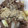 るーえーず's cooksnap of when they made 博多和牛のねぎ（博多万能ねぎ）焼き.