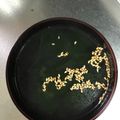 ホットミルク。's cooksnap of when they made あっという間！超速de中華わかめスープ.