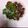 クックI29HQF☆'s cooksnap of when they made 簡単！鶏だんごでピーマンの肉詰め.