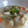 ゆきえはむ's cooksnap of when they made 具だくさん☆五目とろろ汁♪.