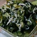 ぶるう★べりい's cooksnap of when they made きゅうりとわかめ、ちりめんじゃこの酢の物.
