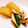 eco107's cooksnap of when they made とっても柔らか☆いかと大根の煮物.