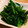 きく星's cooksnap of when they made 【つまみ】ほうれん草のナムル.