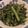 北海道伯爵's cooksnap of when they made ほうれん草胡麻和え (春菊も可).