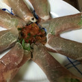 Mf03i240's cooksnap of when they made 大根と大葉の生ハム巻き.