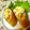 ミラクルぷっちょ's cooksnap of when they made コーンマヨトースト.