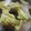 ぱきんこ's cooksnap of when they made 簡単おいしい！梅ミルフィーユ鍋！.