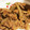 akinoko83's cooksnap of when they made すりおろし玉ねぎたっぷりの豚の生姜焼き.