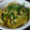 marinesno5's cooksnap of when they made ピリ旨★ジャガイモとピーマンのカレー炒め.