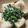たいがちん's cooksnap of when they made 揚げ出し豆腐。.