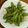 もりのりころ's cooksnap of when they made 枝豆の茹で方 (時短).