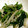 ままる2号's cooksnap of when they made ほうれん草ともやしのナムル.