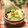 ぽっぽぺぺ's cooksnap of when they made すし酢で＊簡単コールスローサラダ.