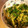 ゆっきぃ～'s cooksnap of when they made ほうれん草とキュウリの胡麻和え.