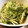 きくちはるこ's cooksnap of when they made 麺つゆで水菜ともやしの煮浸し☆.