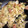 クックZ8J4H4☆'s cooksnap of when they made 我が家の定番野菜炒め.