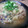 さくみょん's cooksnap of when they made ☆大根おろしの煮込みハンバーグ☆.