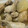 しょっぴー's cooksnap of when they made 手羽元と大根で、あっさりとぷるぷる煮.