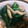 ぴよちゃん２６'s cooksnap of when they made ほうれん草ときのこの温サラダ.